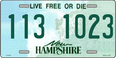 NH license plate 1131023
