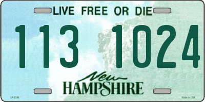 NH license plate 1131024