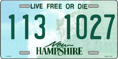 NH license plate 1131027