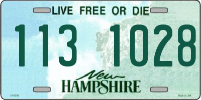 NH license plate 1131028
