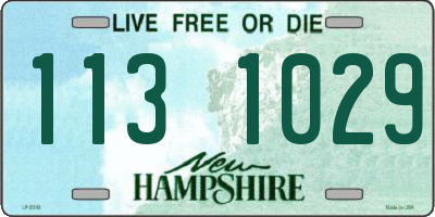 NH license plate 1131029