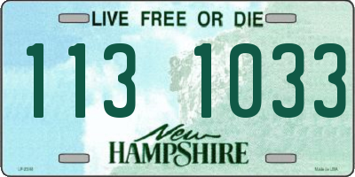 NH license plate 1131033
