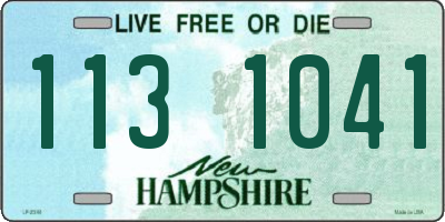 NH license plate 1131041