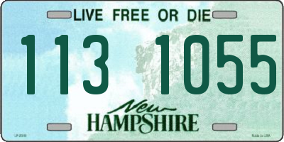 NH license plate 1131055