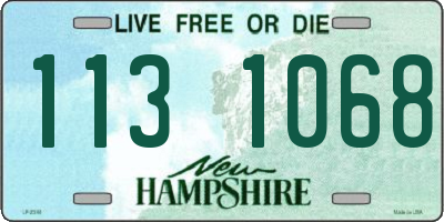 NH license plate 1131068