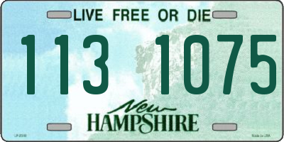 NH license plate 1131075