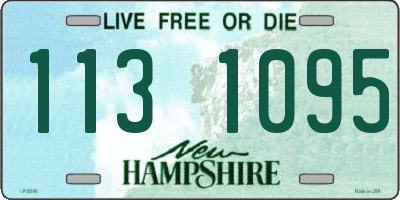 NH license plate 1131095
