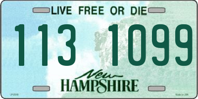 NH license plate 1131099