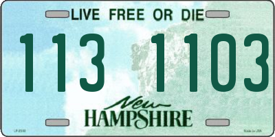 NH license plate 1131103