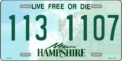 NH license plate 1131107