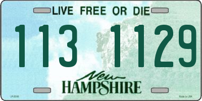 NH license plate 1131129
