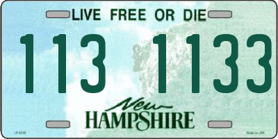 NH license plate 1131133