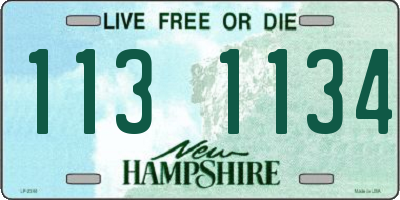 NH license plate 1131134