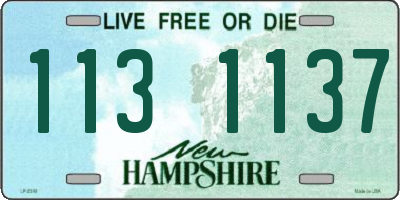NH license plate 1131137