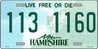 NH license plate 1131160