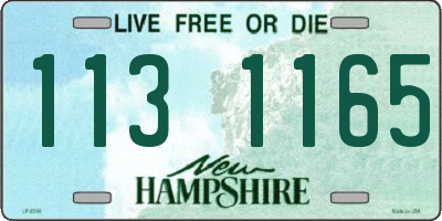 NH license plate 1131165
