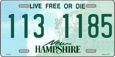 NH license plate 1131185