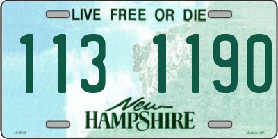 NH license plate 1131190