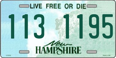 NH license plate 1131195