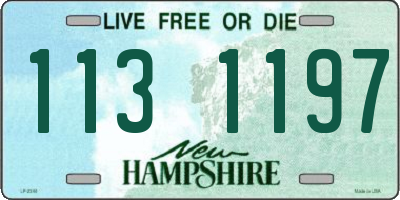 NH license plate 1131197