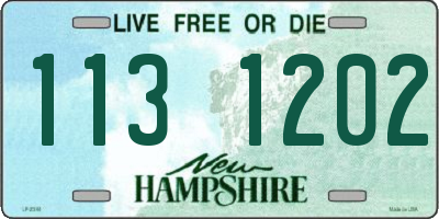 NH license plate 1131202