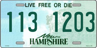 NH license plate 1131203