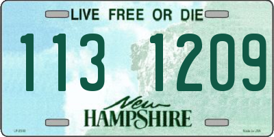 NH license plate 1131209