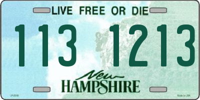 NH license plate 1131213