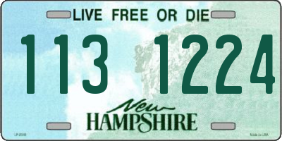 NH license plate 1131224