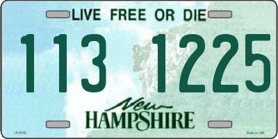 NH license plate 1131225