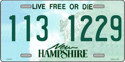 NH license plate 1131229