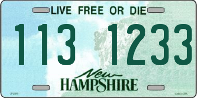 NH license plate 1131233