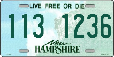 NH license plate 1131236