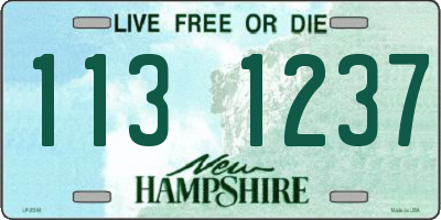 NH license plate 1131237