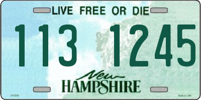 NH license plate 1131245