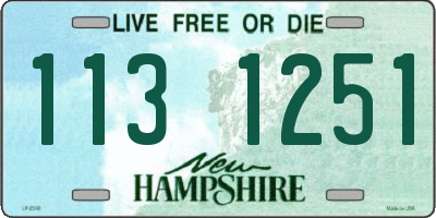 NH license plate 1131251