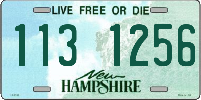 NH license plate 1131256