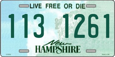 NH license plate 1131261