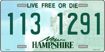 NH license plate 1131291