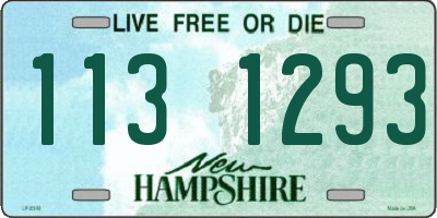 NH license plate 1131293