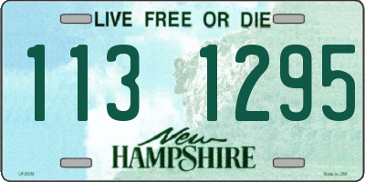 NH license plate 1131295