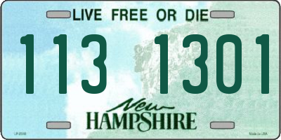 NH license plate 1131301