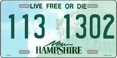 NH license plate 1131302