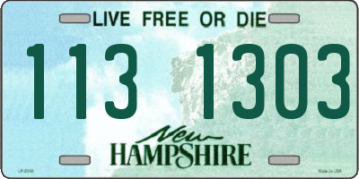 NH license plate 1131303