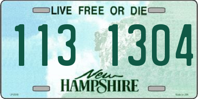 NH license plate 1131304