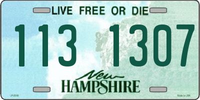 NH license plate 1131307