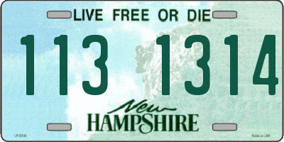NH license plate 1131314