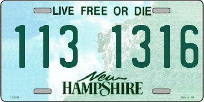 NH license plate 1131316