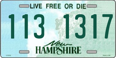 NH license plate 1131317