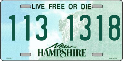 NH license plate 1131318